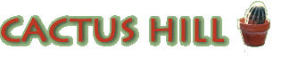 Welcome to Cactus Hill