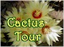 Cactus Tour