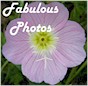 Fabulous photos: The digital camera comes to Cactus Hill�a collection of just plain good photos.